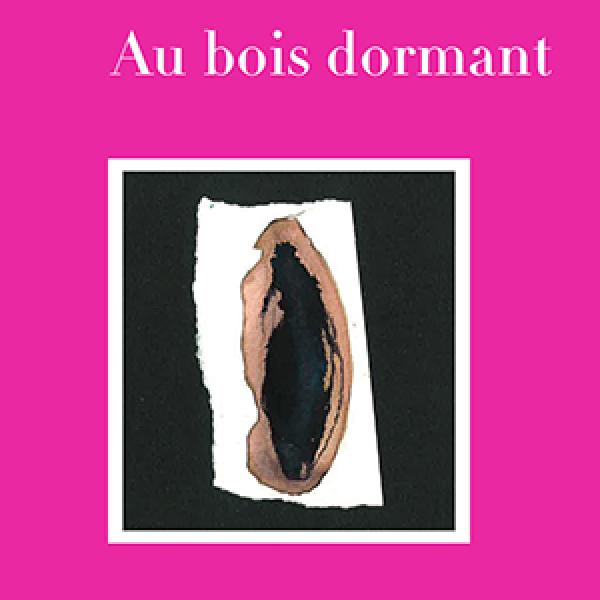 Au bois dormant - Marie Desplechin et Thierry Thiêu Niang aux éditions des Busclats